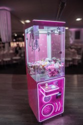 Pink Medium Claw Machine Girls Package