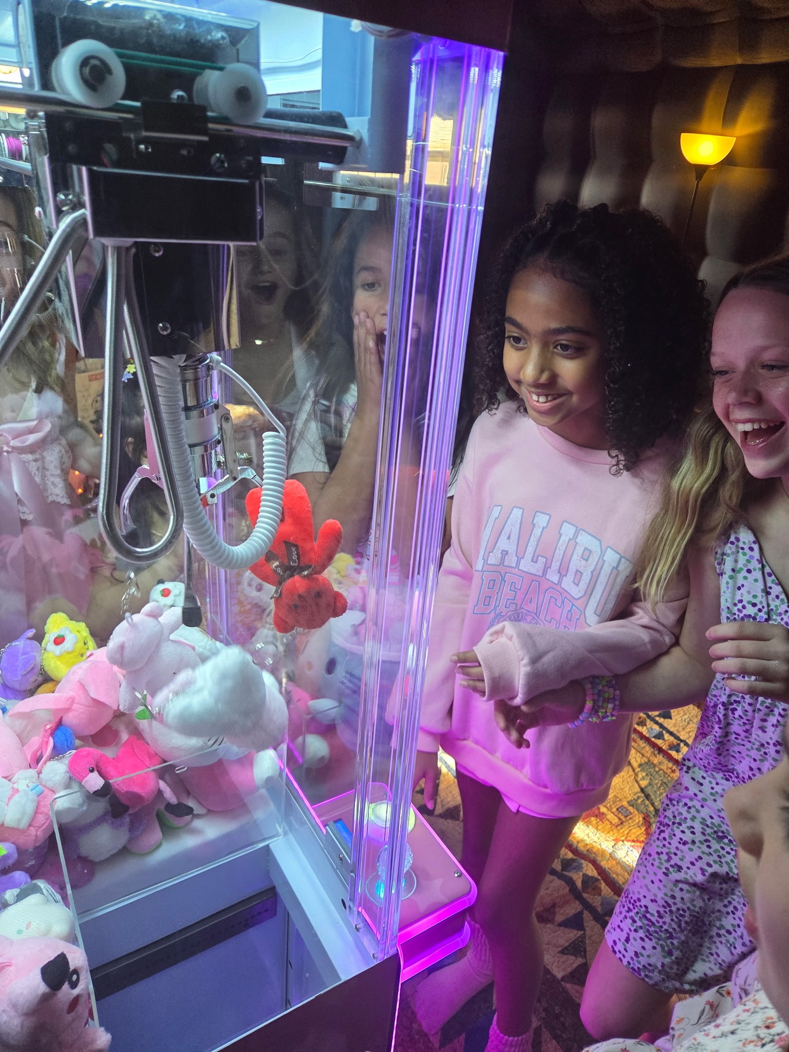 Girls having fun playing Pink Claw Machine